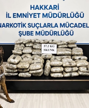 hakkaride-57-kilo-200-gram-skunk-ele-gecirildi-rHTAqBSY.jpg