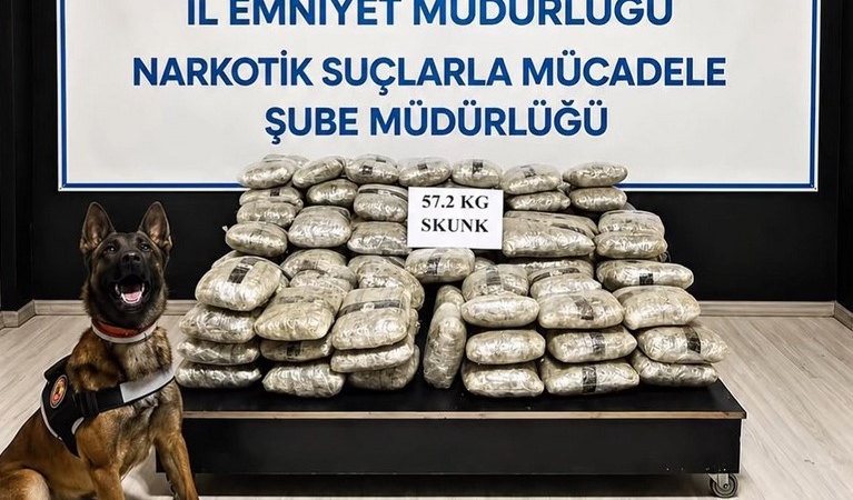 hakkaride-57-kilo-200-gram-skunk-ele-gecirildi-rHTAqBSY.jpg
