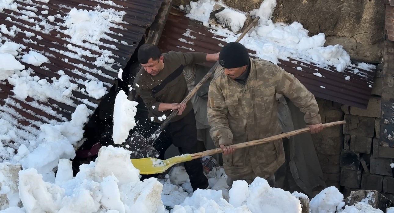 Hakkari’de ahırın çatısı çöktü: 2 hayvan telef oldu 14 hakkaride ahirin catisi coktu 2 hayvan telef oldu 10 3IBAYlOj