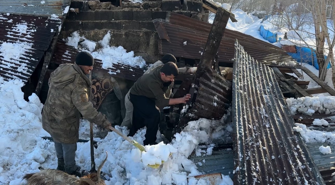 Hakkari’de ahırın çatısı çöktü: 2 hayvan telef oldu 9 hakkaride ahirin catisi coktu 2 hayvan telef oldu 5 CC4diEP5