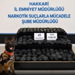 hakkaride-aranan-sahis-45-kilo-uyusturucuyla-yakalandi-Hcui7ifZ.jpg