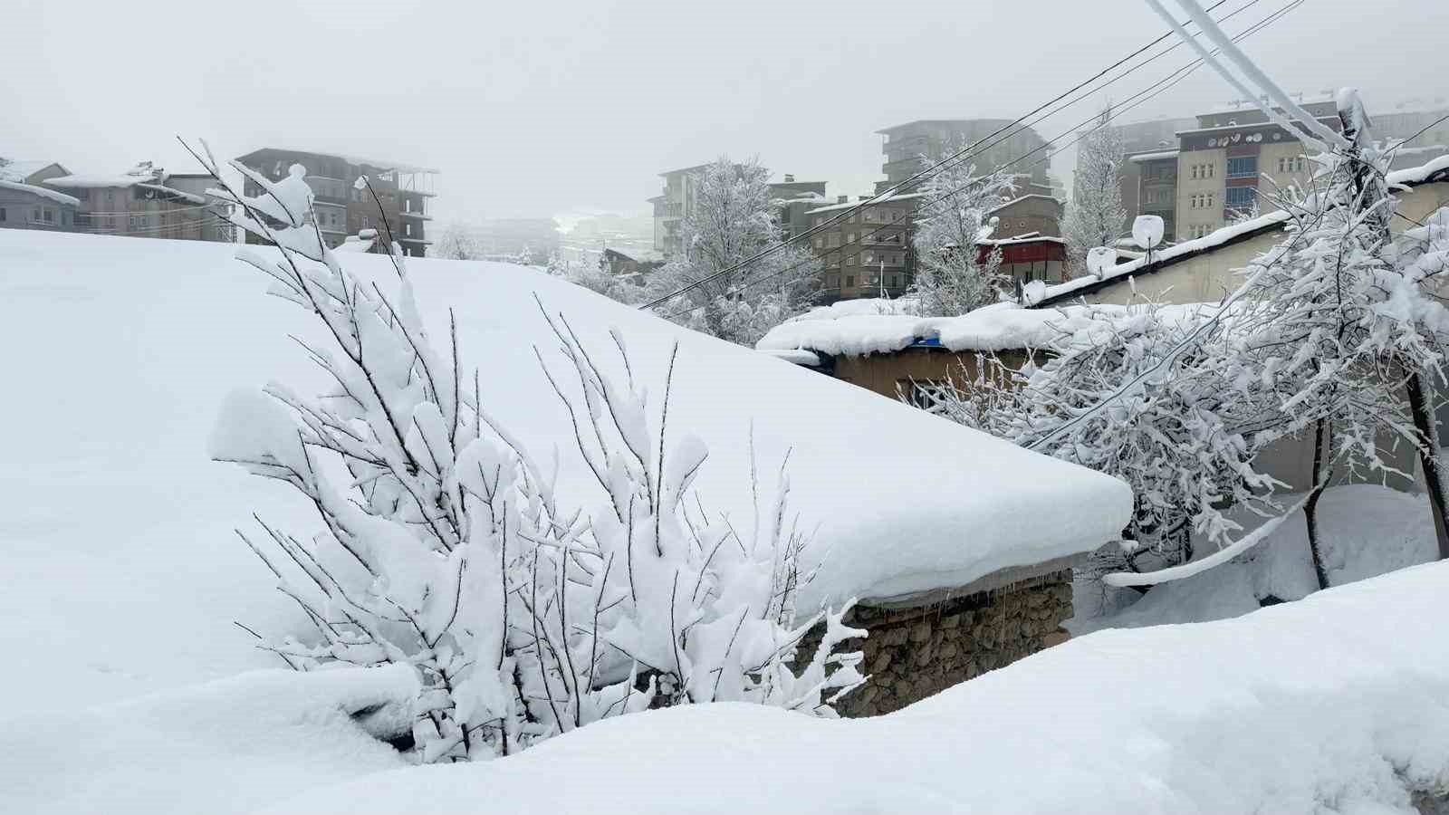 hakkaride kar afeti ekipler araliksiz calisiyor 1 khh6t2PN