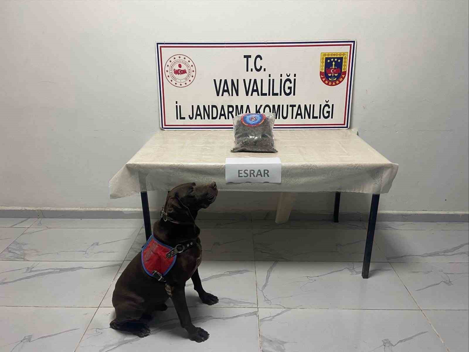 hakkaride kubar esrar ele gecirildi 0 iN2DTNnH