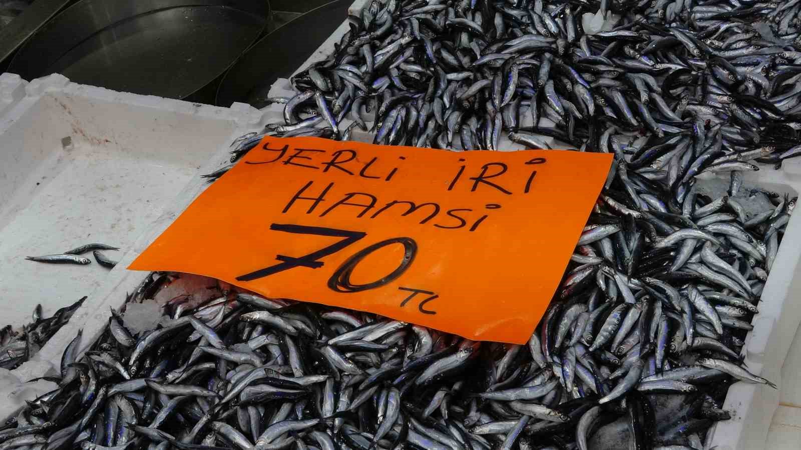 hamsi 70 liraya dustu vatandas sevincten cig yedi 3 WJjrHMGP