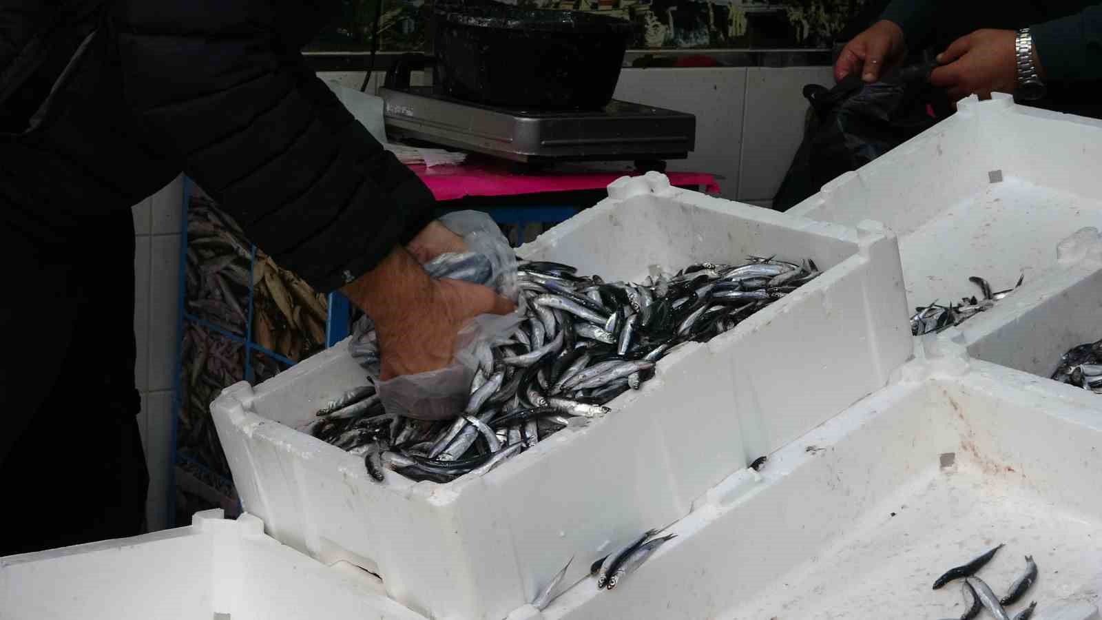 hamsi 70 liraya dustu vatandas sevincten cig yedi 4 IuTIhnjW