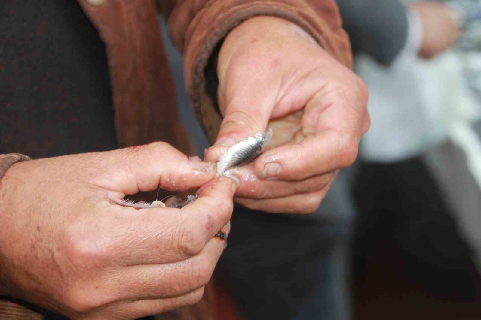 hamsi 70 liraya dustu vatandas sevincten cig yedi 6 JGOLhfBl