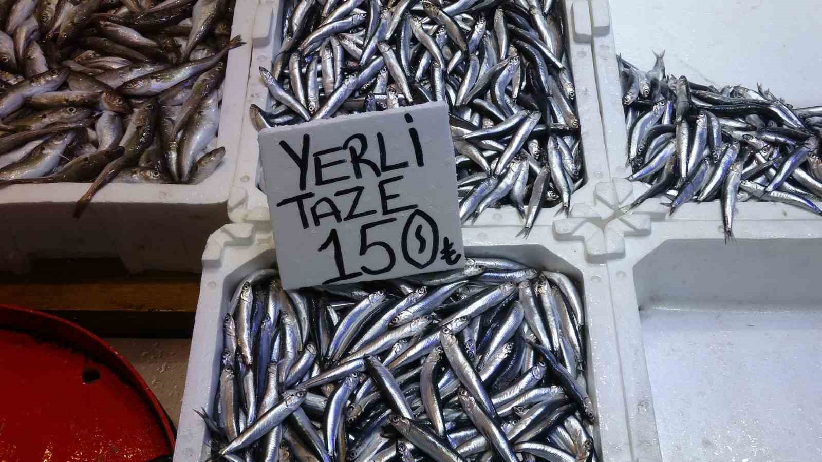 hamsi bu defa sasirtti tezgahlar yeniden senlendi 0 JTrKUsQM