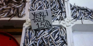 hamsi-bu-defa-sasirtti-tezgahlar-yeniden-senlendi-CJsuuD9p.jpg
