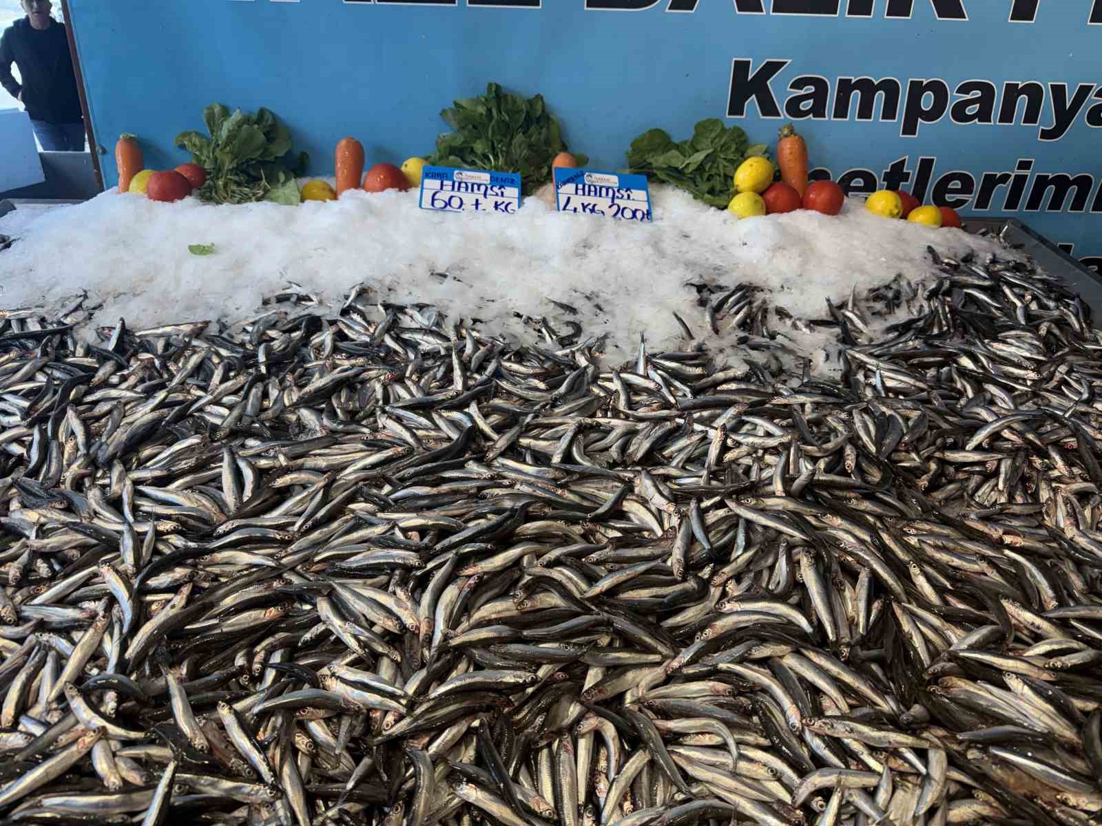 hamsi fiyati yuzleri guldurdu kilosu 60 liraya dustu 2