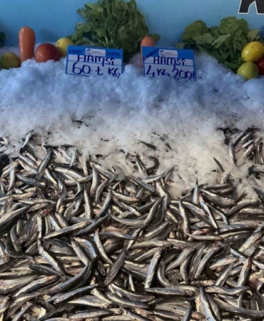 hamsi-fiyati-yuzleri-guldurdu-kilosu-60-liraya-dustu-YEFgQid2.jpg