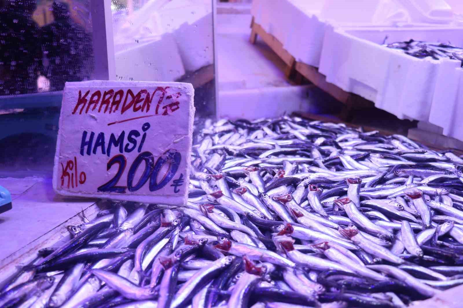 hamsi tezgahlardaki tahtina yeniden oturdu 0 vGSCwUua