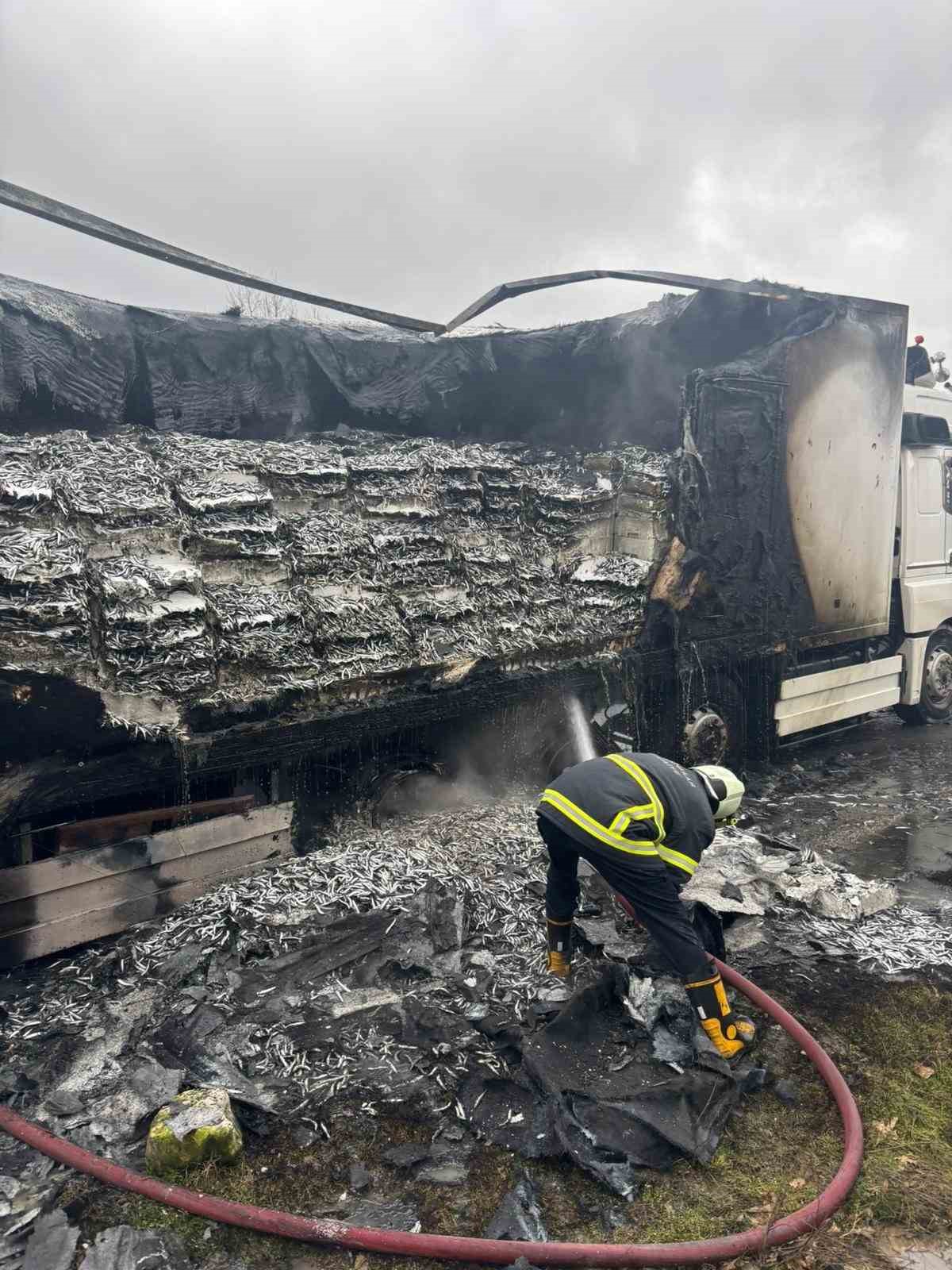hamsi yuklu tir alevlere teslim oldu dorse kullanilamaz hale geldi 0 fcq51Qy2