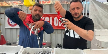 hamsinin-fiyati-70-liraya-indi-tezgahlar-senlendi-h1jRag4w.jpg