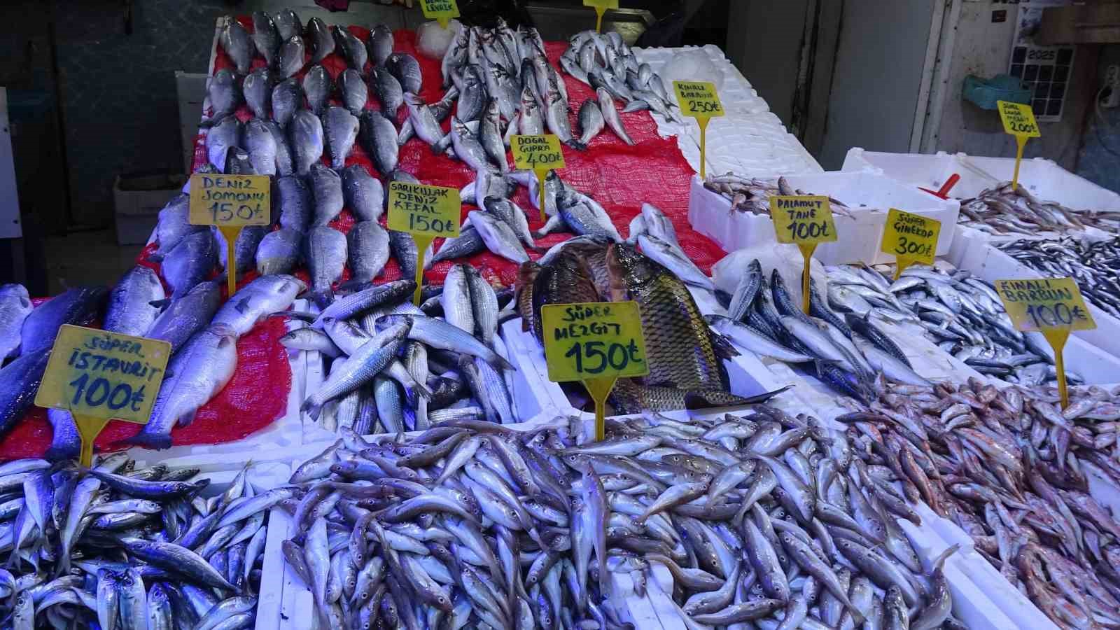 Hamsinin kilosu 300 TL’den 100 TL’ye düştü: Tezgahlarda kapış kapış gitti 5 hamsinin kilosu 300 tlden 100 tlye dustu tezgahlarda kapis kapis gitti 1 ga2lU4Bm
