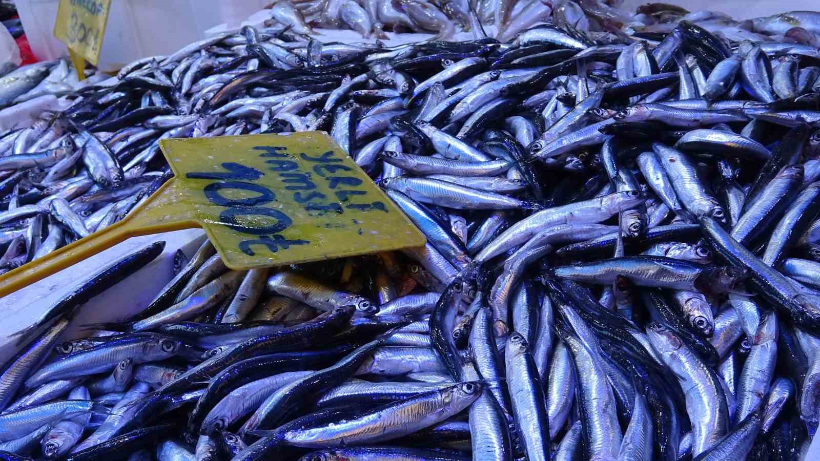 Hamsinin kilosu 300 TL’den 100 TL’ye düştü: Tezgahlarda kapış kapış gitti 6 hamsinin kilosu 300 tlden 100 tlye dustu tezgahlarda kapis kapis gitti 2 6gVmzy9D