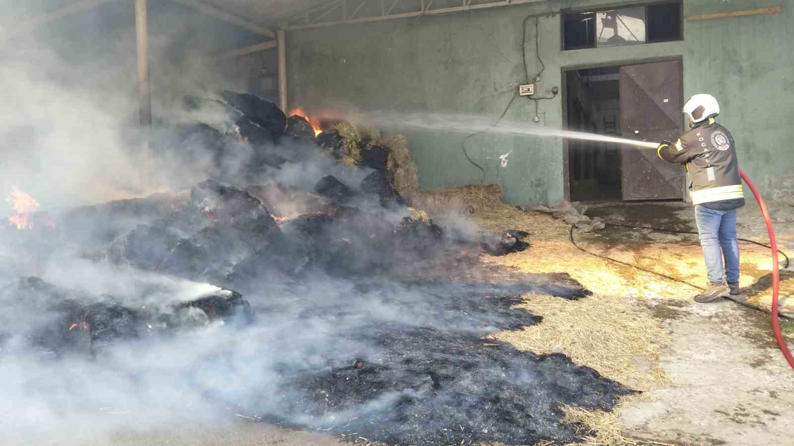Harada çıkan yangında 70 balya saman yandı 4 harada cikan yanginda 70 balya saman yandi 0 Pnus9lGp