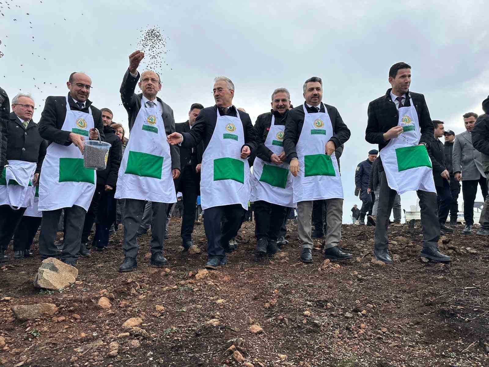 harmancikta yanan 4 bin 256 hektar alan agaclandiriliyor 3 4VOwr9XH