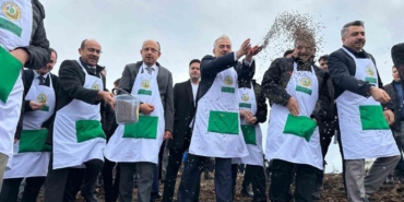 harmancikta-yanan-4-bin-256-hektar-alan-agaclandiriliyor-ISNSJXKP.jpg