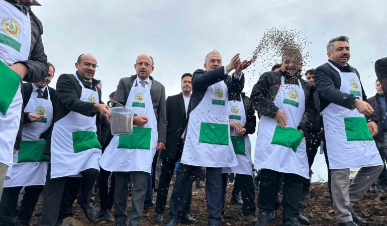 harmancikta-yanan-4-bin-256-hektar-alan-agaclandiriliyor-ISNSJXKP.jpg