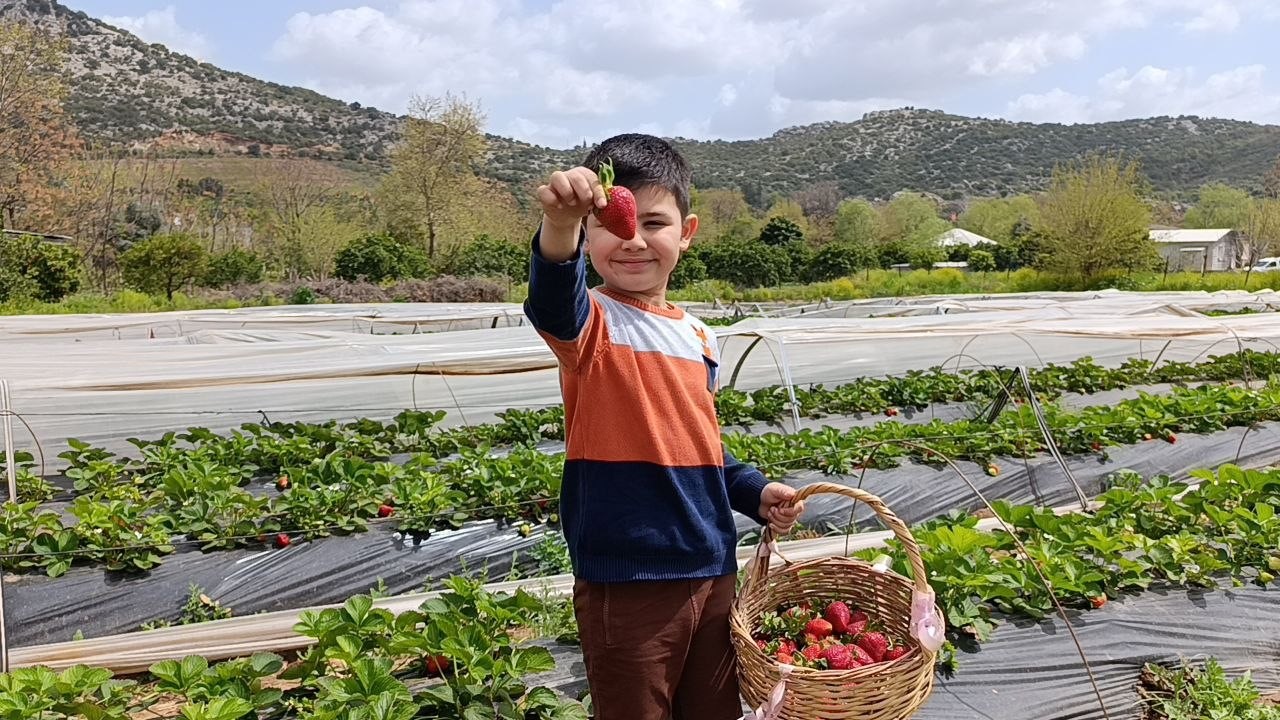 hasadi ciftci degil vatandas yapti 0 gOrDtINm