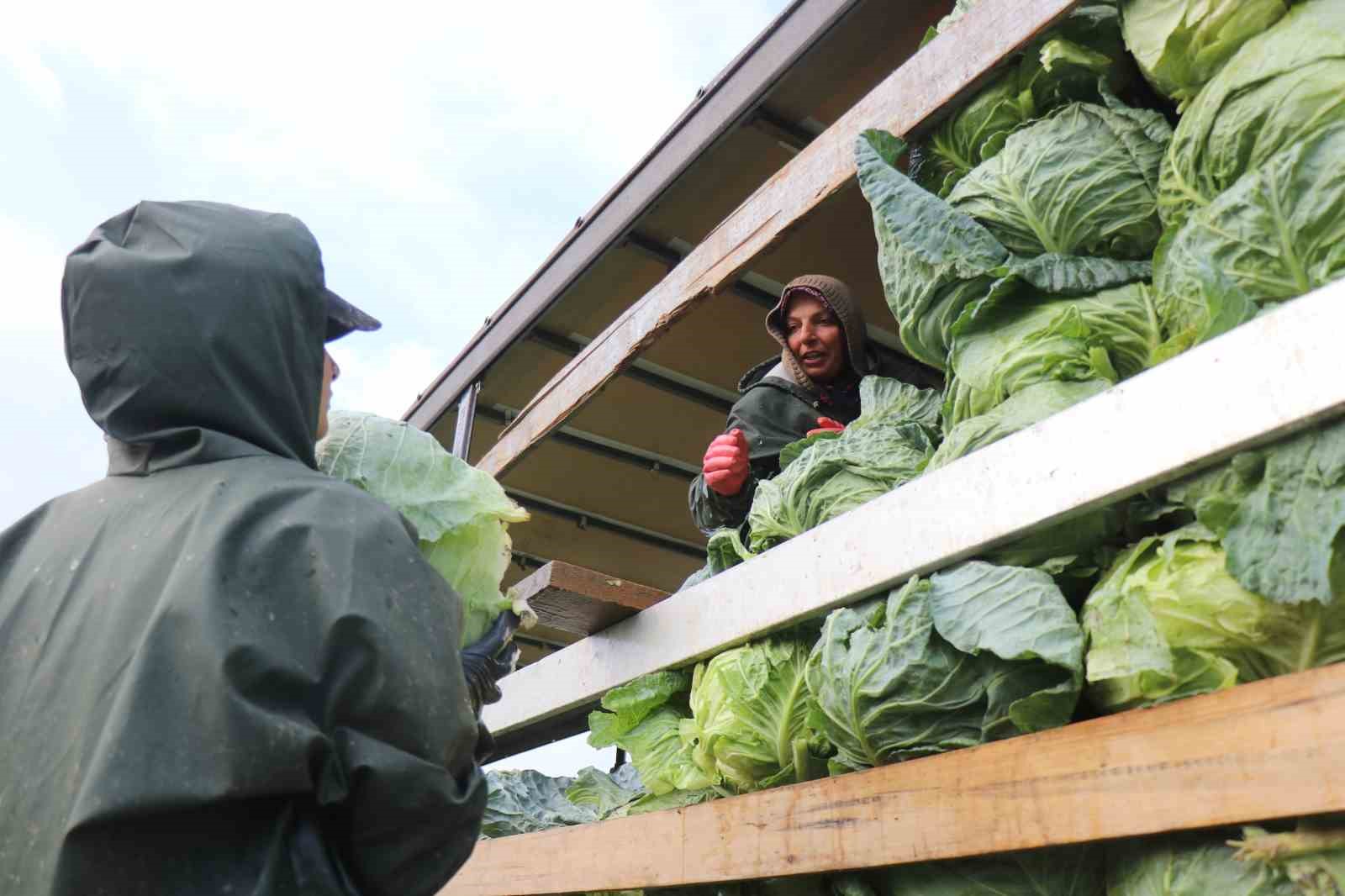 Hasadın yükünü kadınlar taşıyor: Yağmur, çamur demeden bin bir zorluklarla çalışıyorlar 5 hasadin yukunu kadinlar tasiyor yagmur camur demeden bin bir zorluklarla calisiyorlar 1 YLfP9K4C
