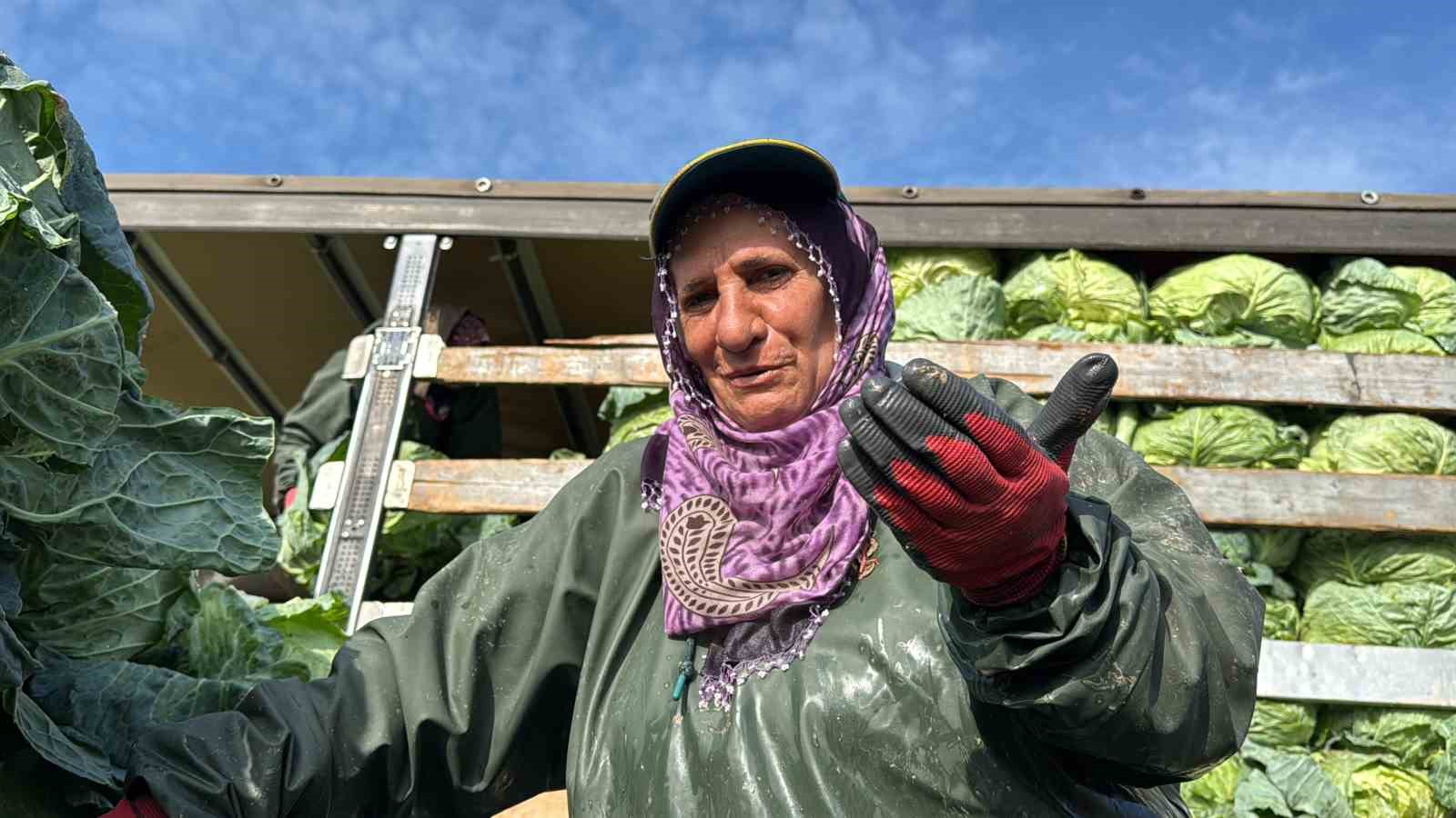 Hasadın yükünü kadınlar taşıyor: Yağmur, çamur demeden bin bir zorluklarla çalışıyorlar 6 hasadin yukunu kadinlar tasiyor yagmur camur demeden bin bir zorluklarla calisiyorlar 2 Pn3TNald