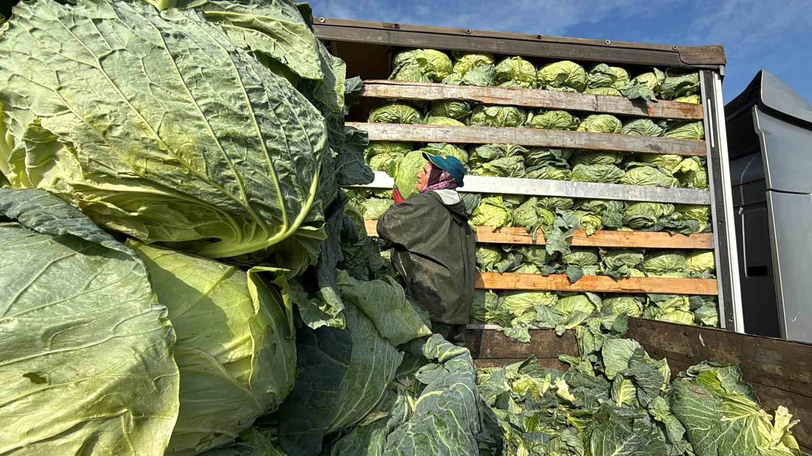 Hasadın yükünü kadınlar taşıyor: Yağmur, çamur demeden bin bir zorluklarla çalışıyorlar 7 hasadin yukunu kadinlar tasiyor yagmur camur demeden bin bir zorluklarla calisiyorlar 3 9P4fTznk