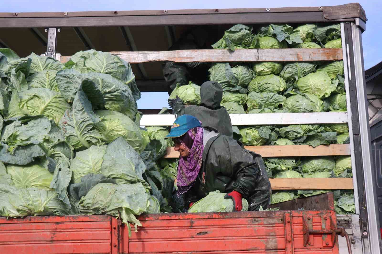 Hasadın yükünü kadınlar taşıyor: Yağmur, çamur demeden bin bir zorluklarla çalışıyorlar 8 hasadin yukunu kadinlar tasiyor yagmur camur demeden bin bir zorluklarla calisiyorlar 4 byBKyivu