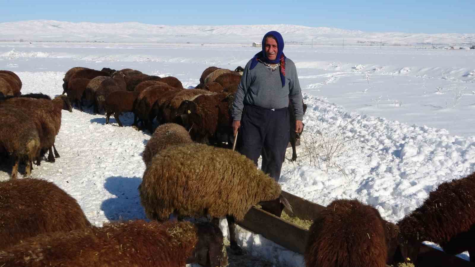 haskoyde besicilerin zorlu mesaisi basladi 2 2trXw7mJ