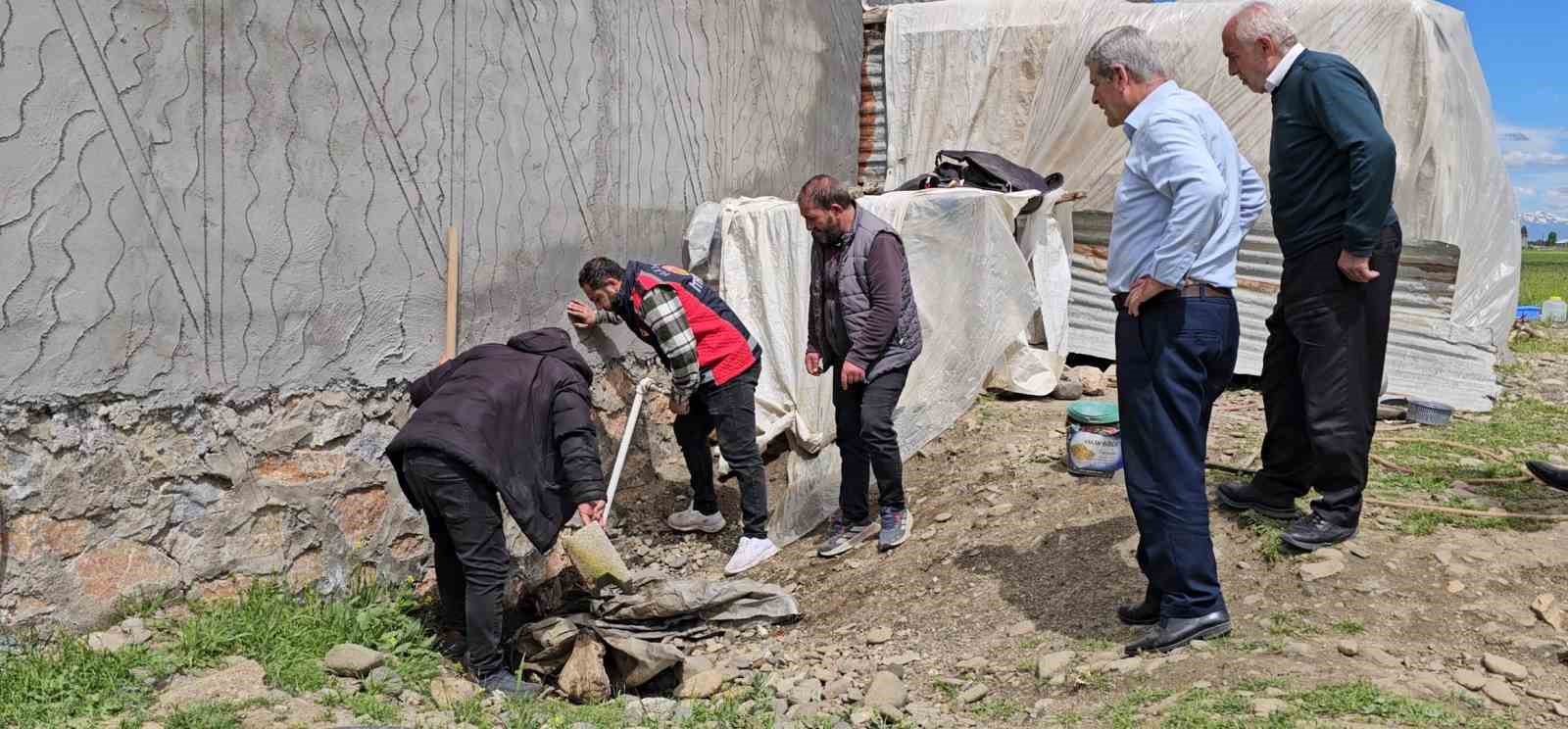 haskoyde yilan panigi belediye ekipleri harekete gecti 3 VLtQM3wa