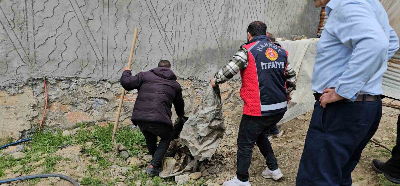 haskoyde yilan panigi belediye ekipleri harekete gecti 4 ElIB48NP