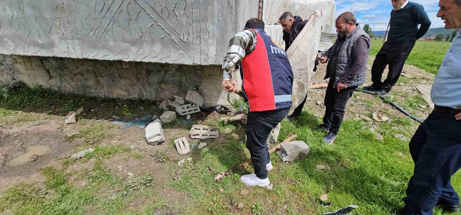 haskoyde yilan panigi belediye ekipleri harekete gecti 5 aR1JASyj