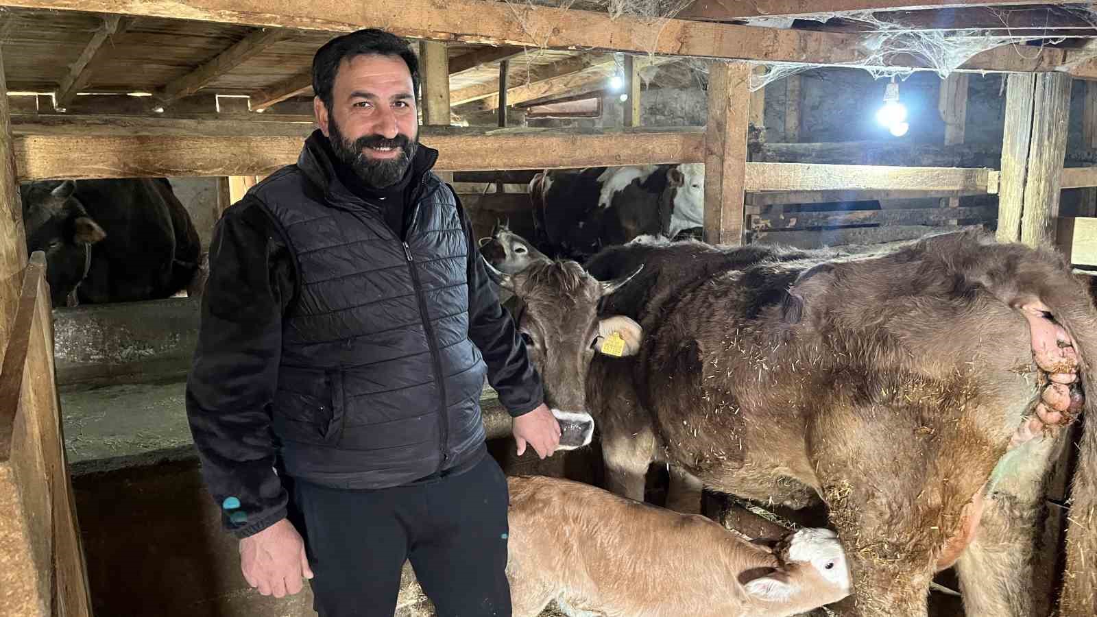hasta dogan buzagilari buhar makinesiyle hayata bagliyor 0 eJTywSjN