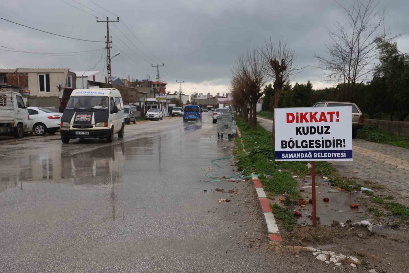 hatayda 4 mahalleye kuduz karantinasi 0 DYplEst7