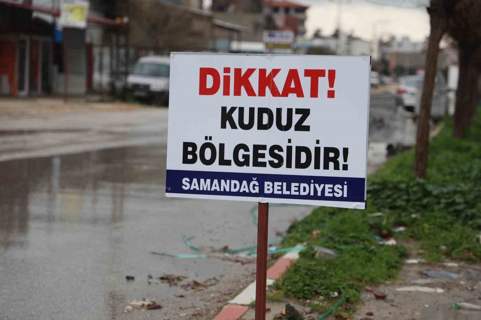 hatayda 4 mahalleye kuduz karantinasi 3 kiDsGsFN