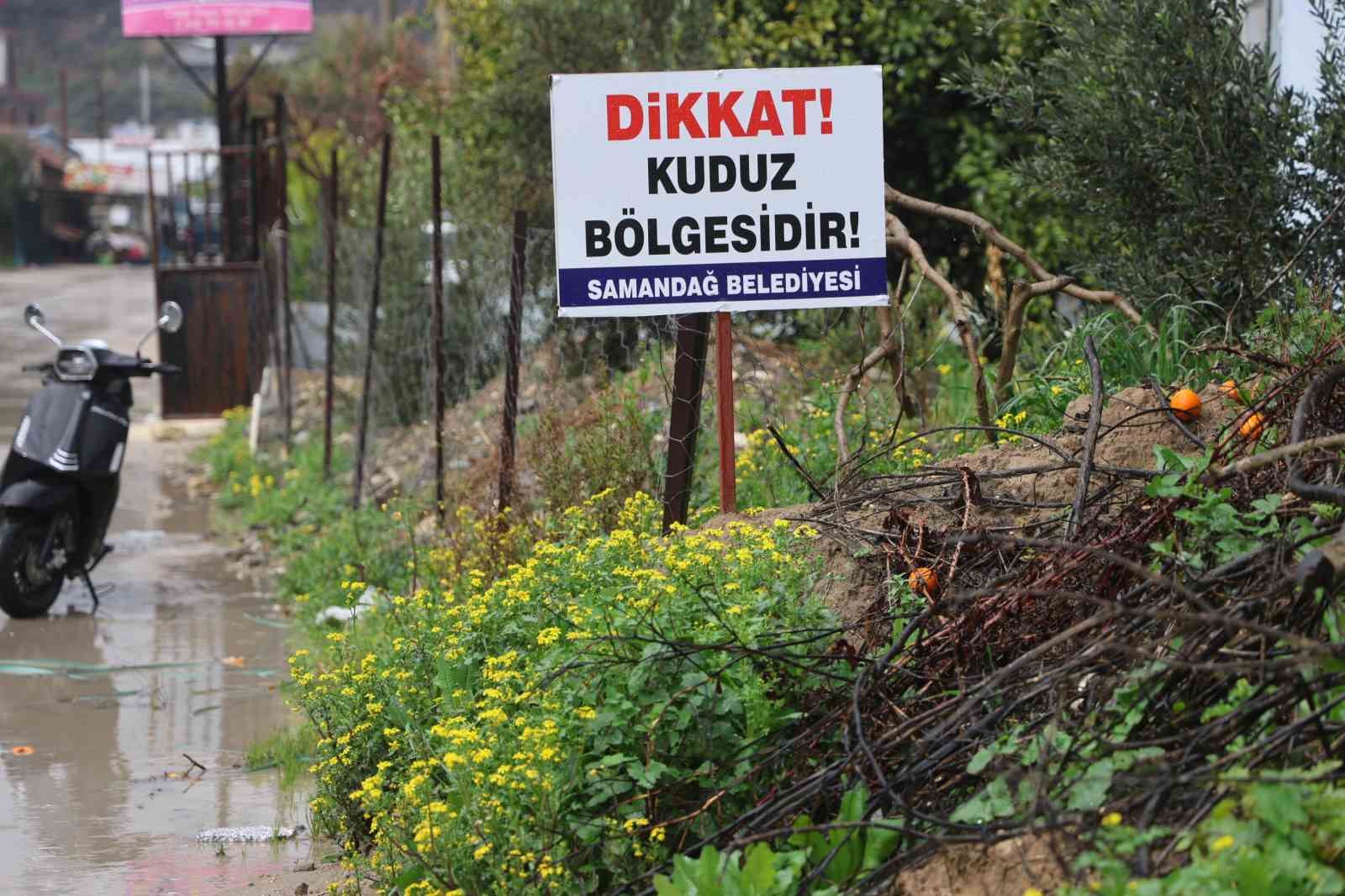 hatayda 4 mahalleye kuduz karantinasi 4 usiBQcEW