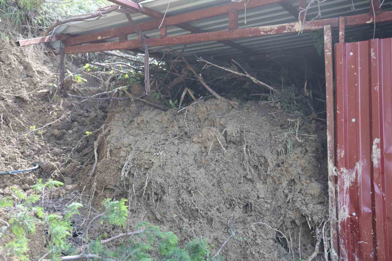 hatayda heyelanda onu toprakla dolan ahirda hayvanlar mahsur kaldi 3 77kq5wjP