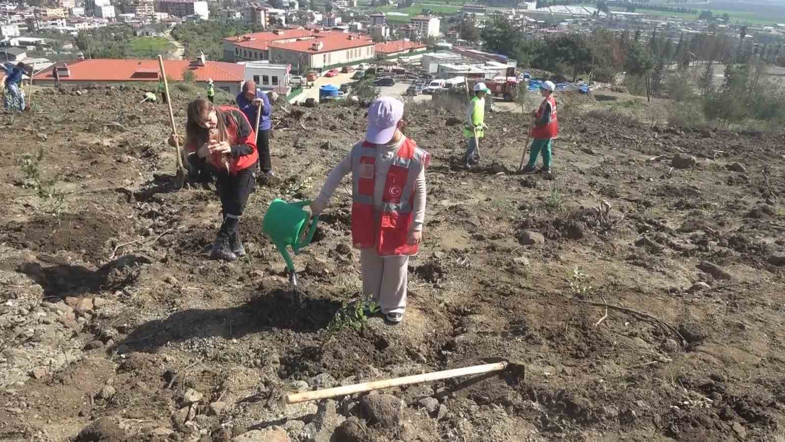 hatayda orman yanginindan zarar goren alanlarda 5 bin fidan toprakla bulusturuldu 1 jYe9eNnT
