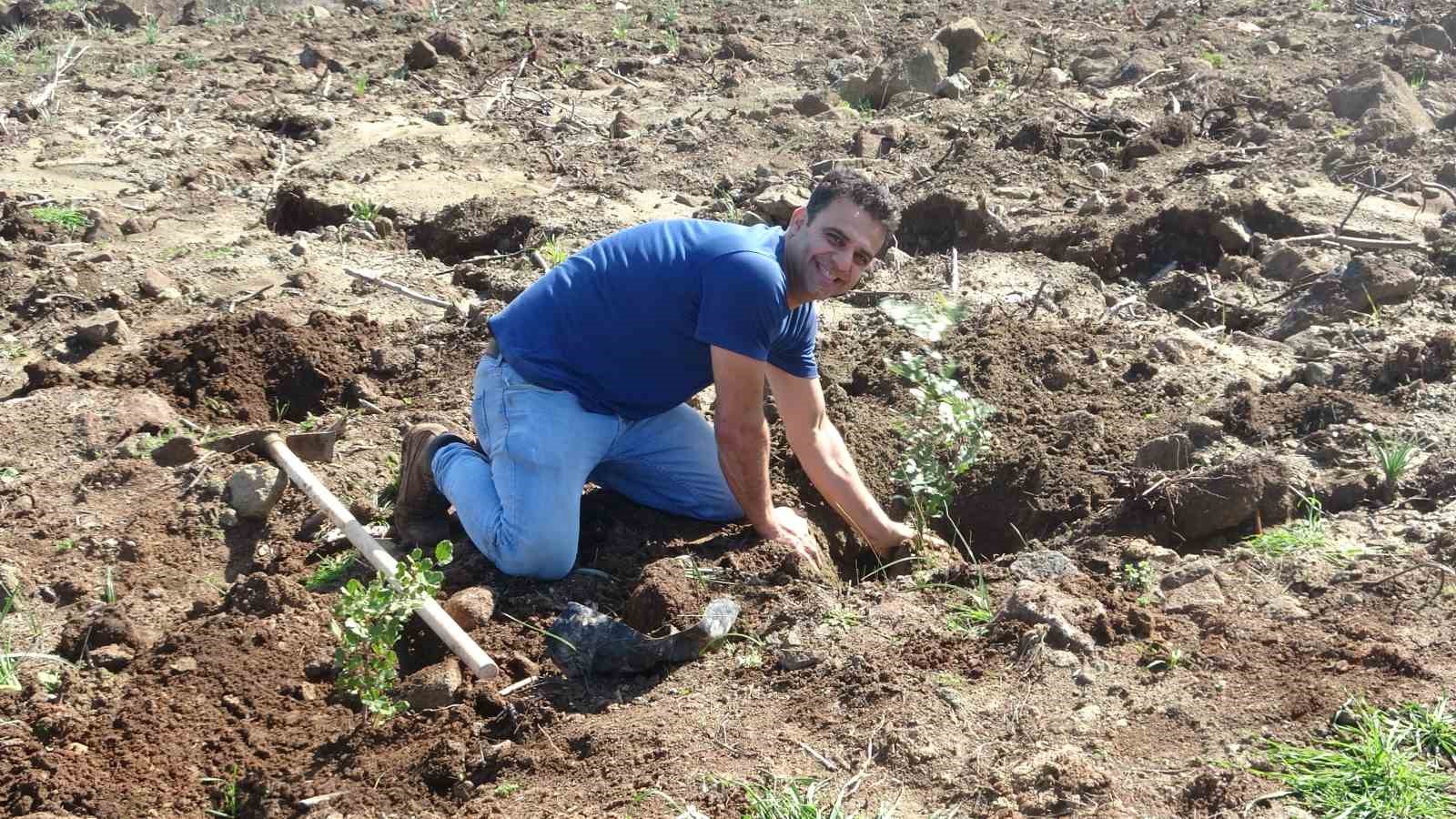 hatayda orman yanginindan zarar goren alanlarda 5 bin fidan toprakla bulusturuldu 3 MSvt7vgf