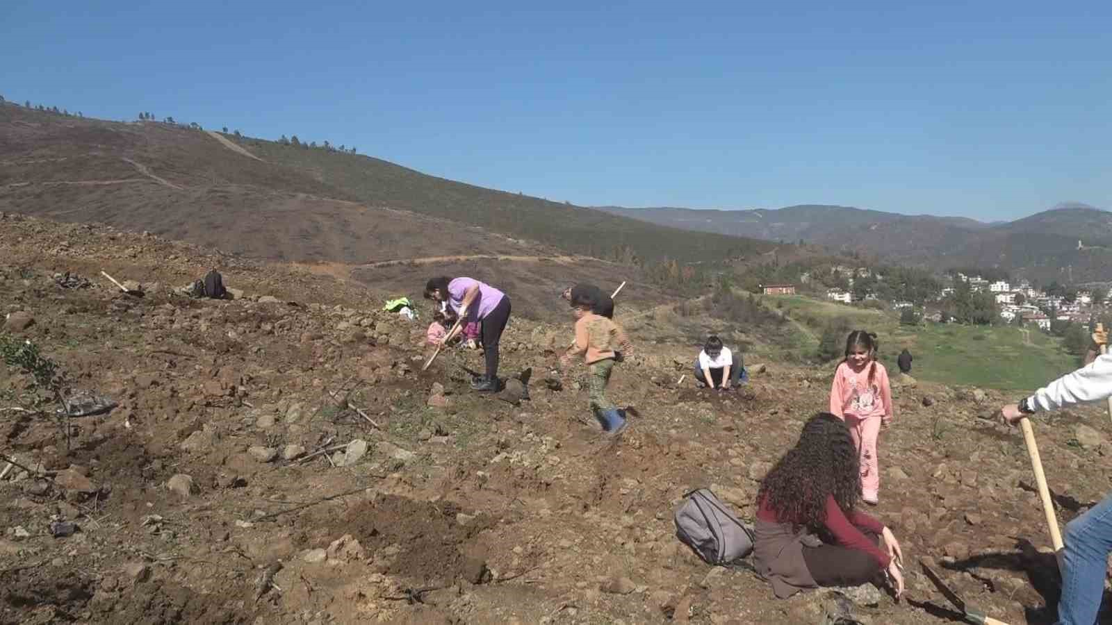 hatayda orman yanginindan zarar goren alanlarda 5 bin fidan toprakla bulusturuldu 5 vRRNDcCy