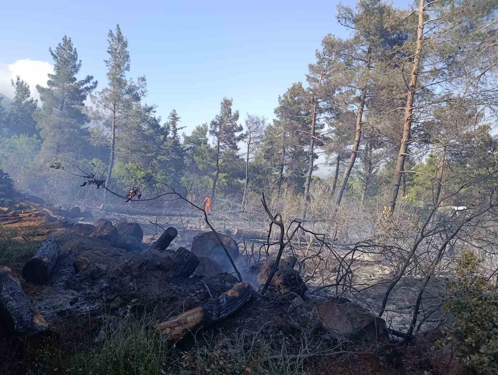 hatayda ormani yangini cikti 1 eddVPVzD