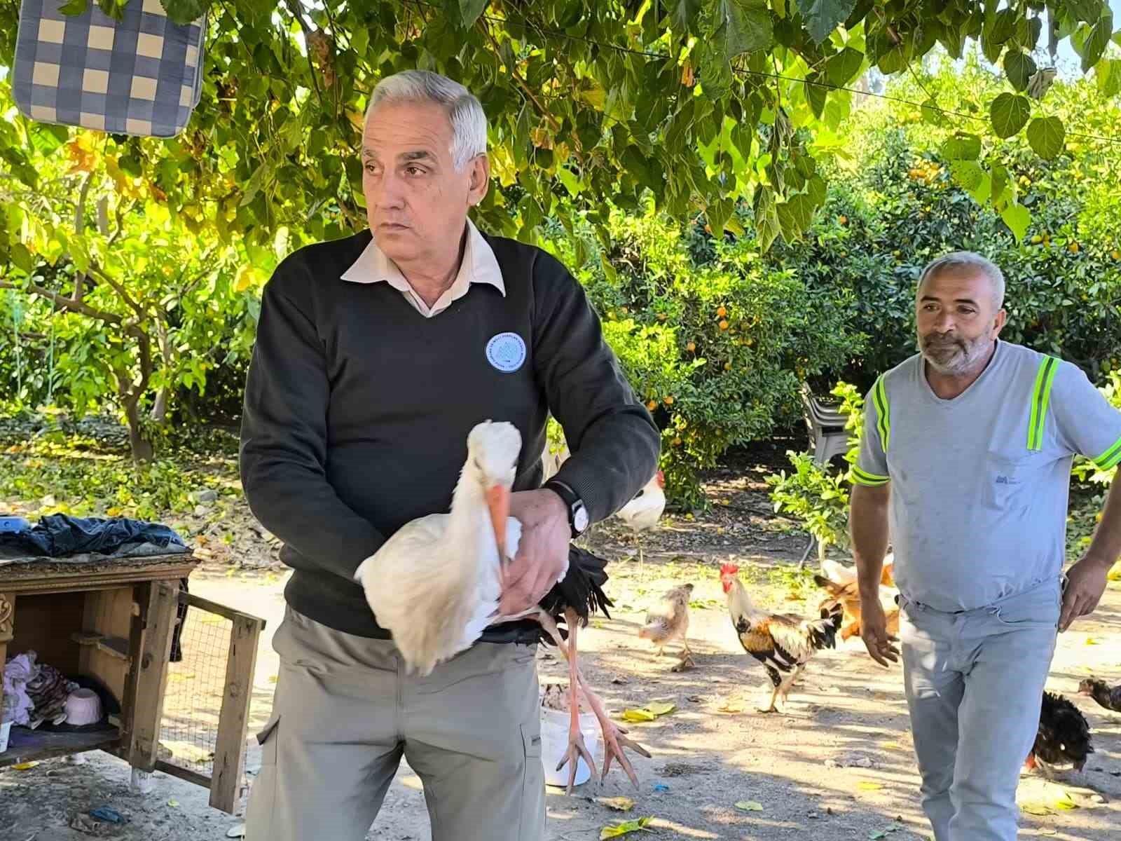 hatayda yarali leylek tedavi altina alindi 3 HEhb3ORz