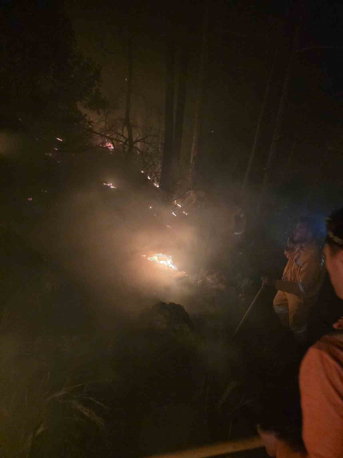 hatayda yildirimin dustugu ormanlik alanda yangin cikti 3