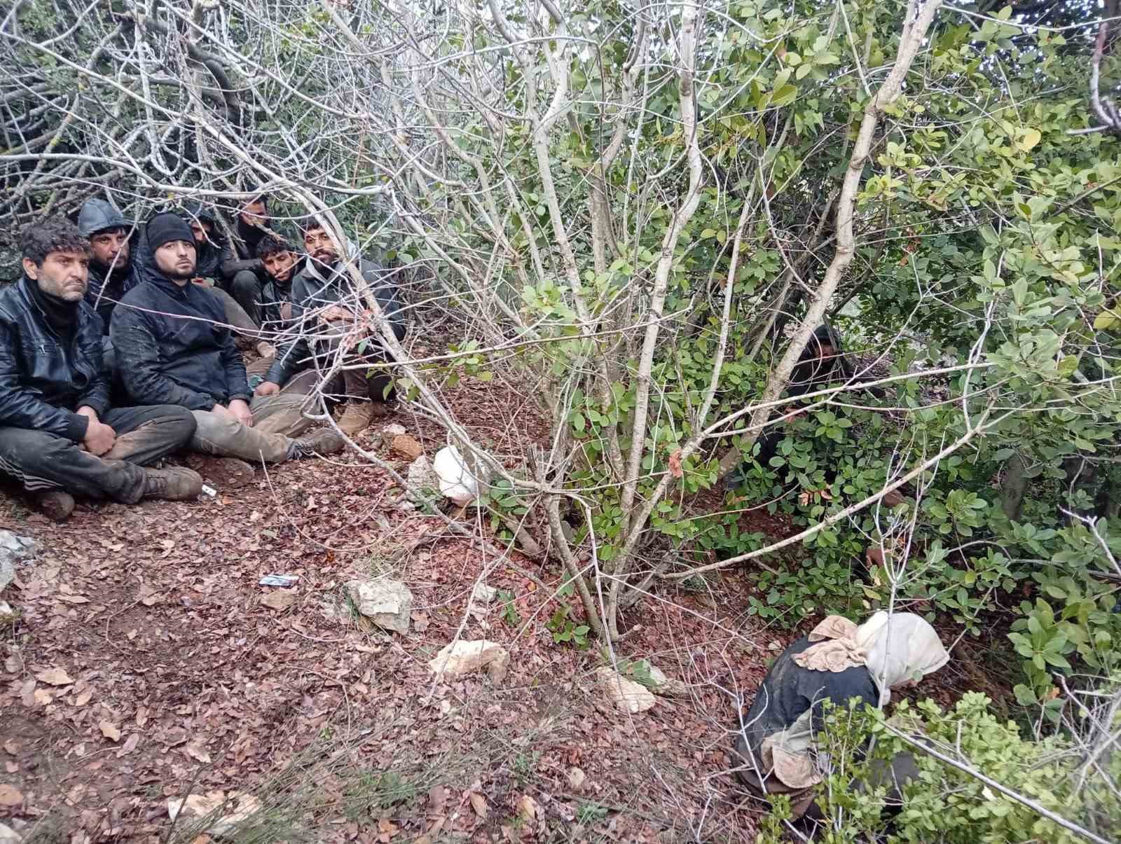 hatayda zeytinlik alanda 30 duzensiz gocmen yakalandi 1 VvIeWQOz