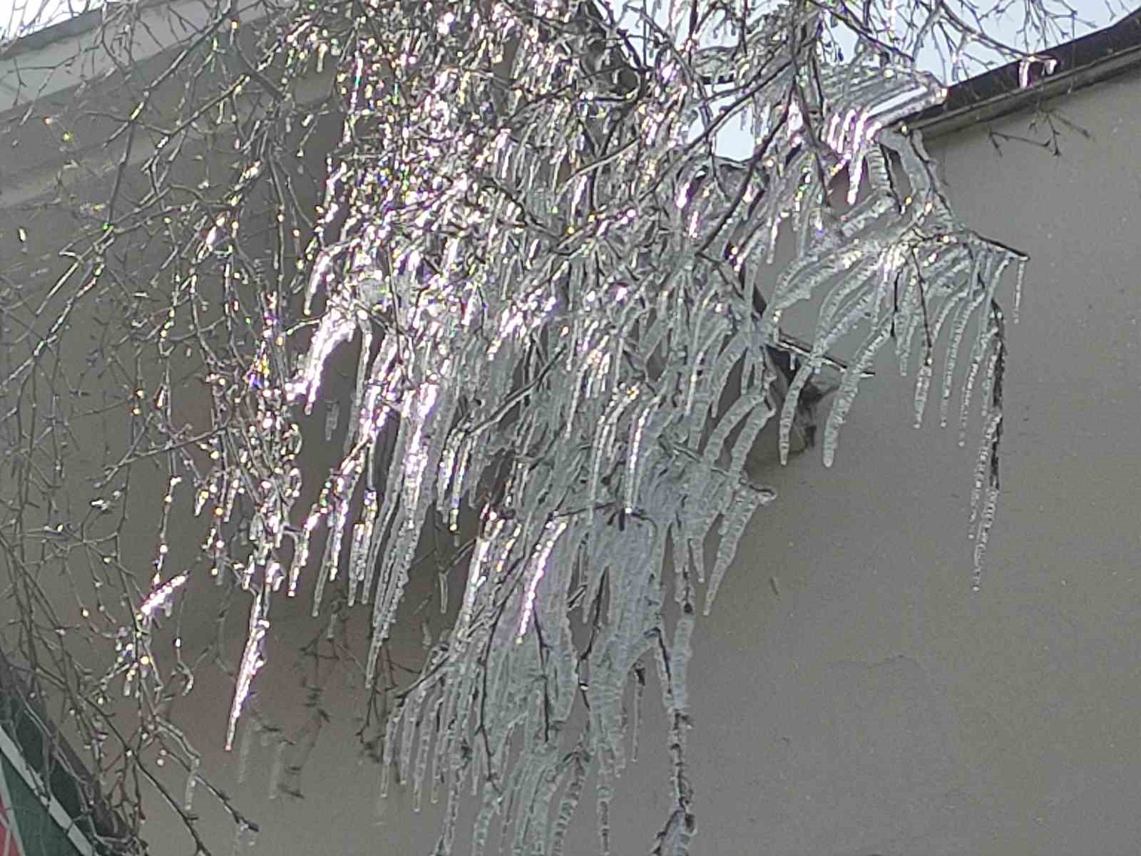 hava sicakligi eksi 10a dustu agac dallari dondu 0 32HKKDQk