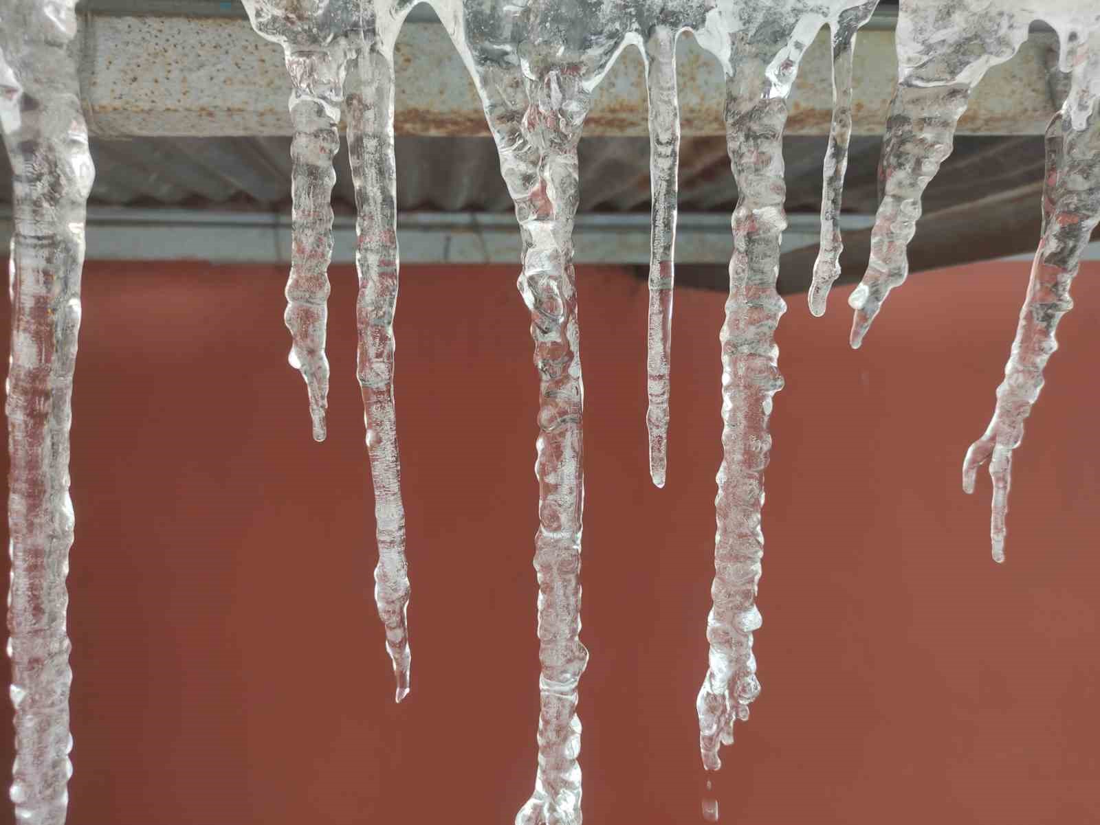 hava sicakligi eksi 10a dustu agac dallari dondu 1