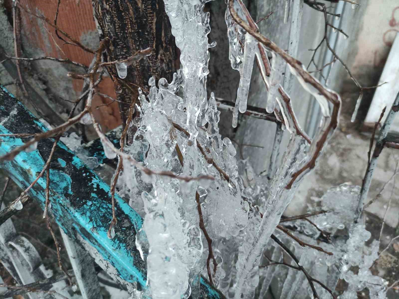 hava sicakligi eksi 10a dustu agac dallari dondu 2