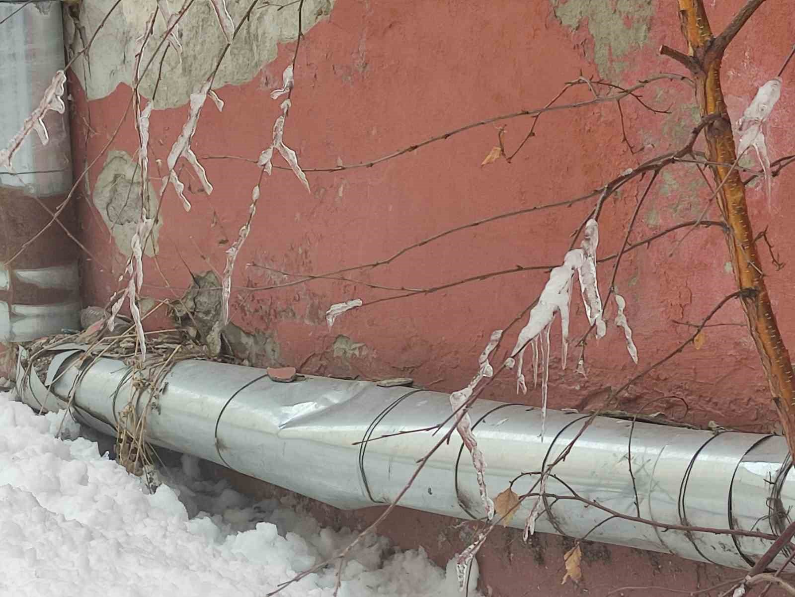 hava sicakligi eksi 10a dustu agac dallari dondu 4 99Vgi1fb