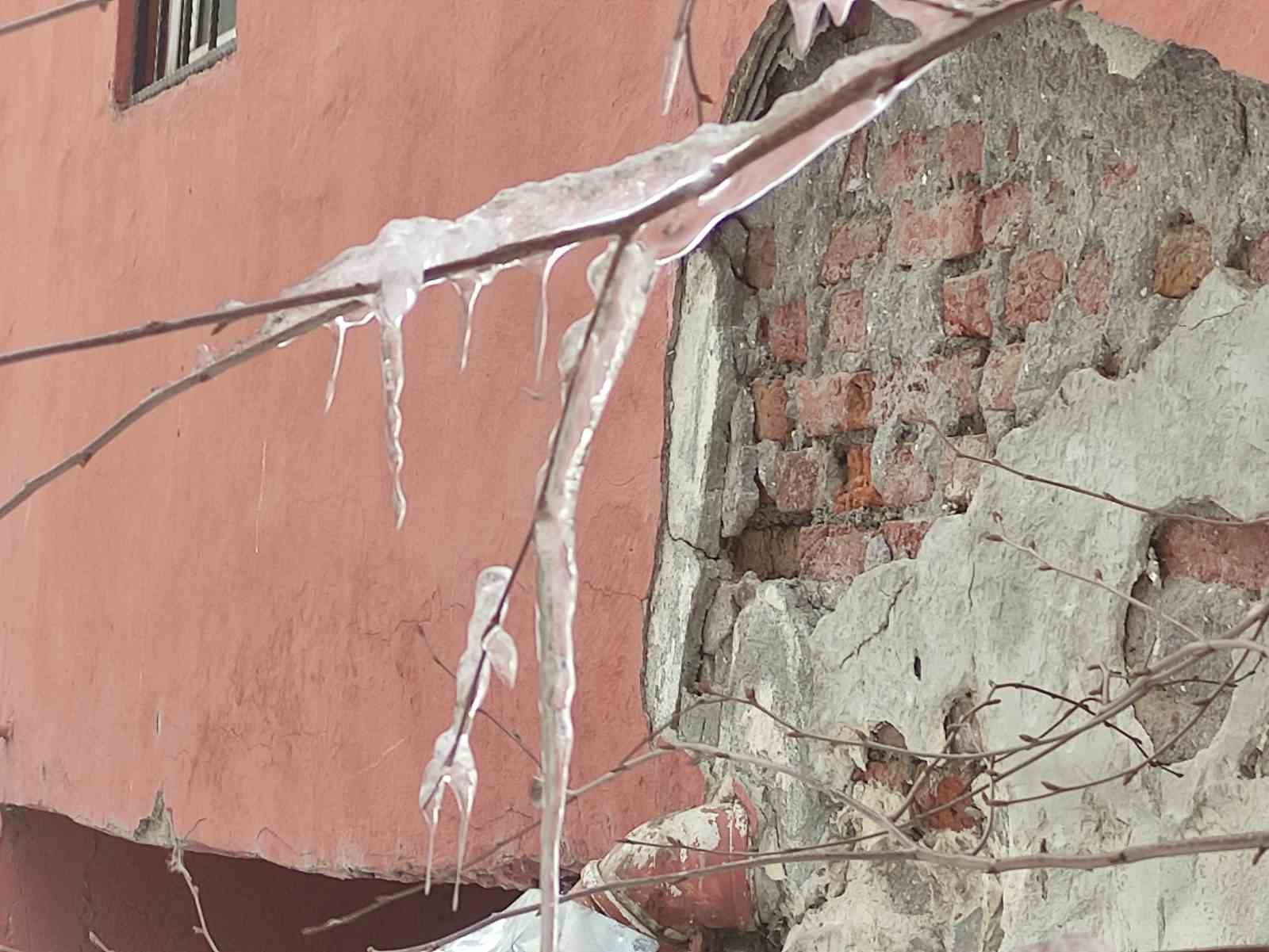 hava sicakligi eksi 10a dustu agac dallari dondu 5 5fUvhAjF