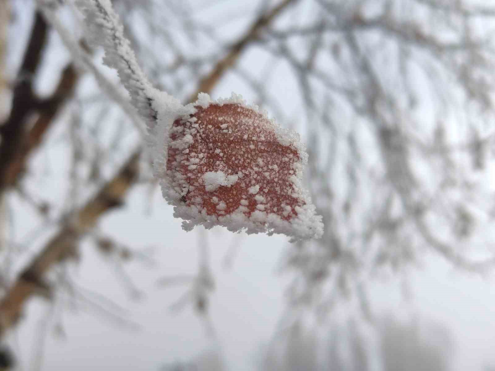 hava sicakliginin eksi 146 dereceye dustugu gole buz tuttu 0